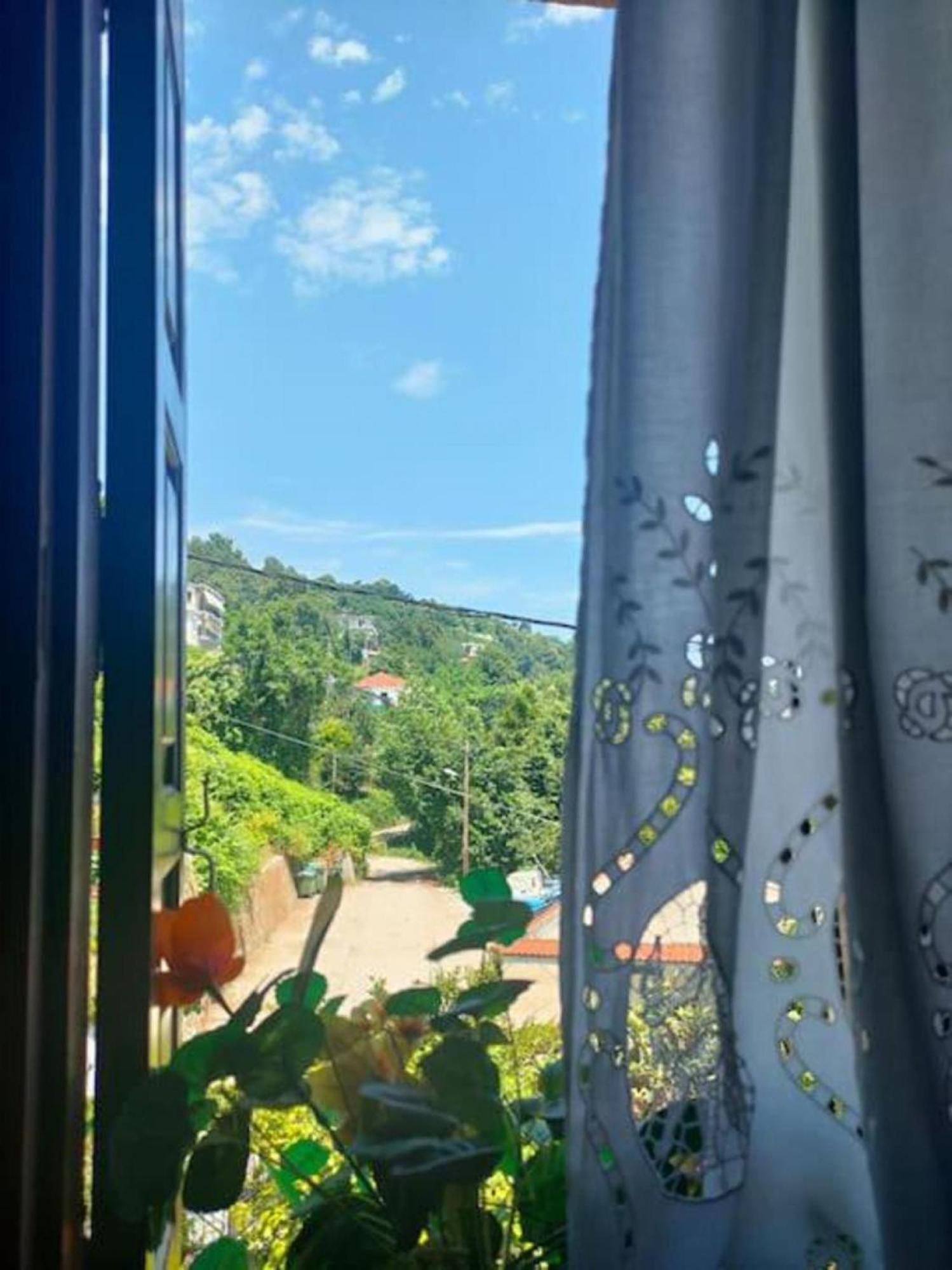 Hara'S House Pelion Apartment Makrirrakhi Ngoại thất bức ảnh