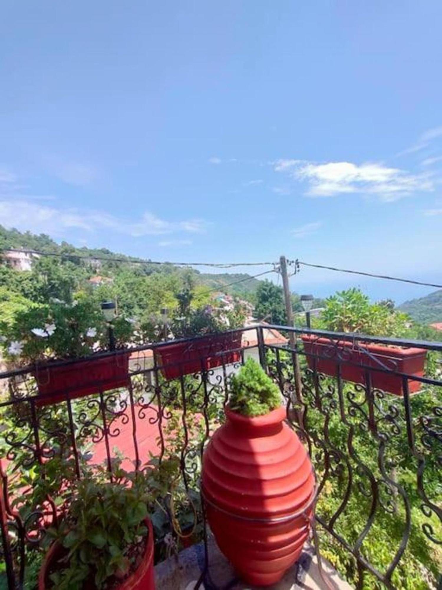 Hara'S House Pelion Apartment Makrirrakhi Ngoại thất bức ảnh